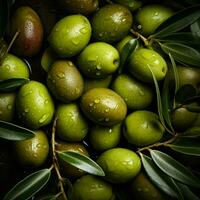 Olive Hintergrund Hintergrund foto