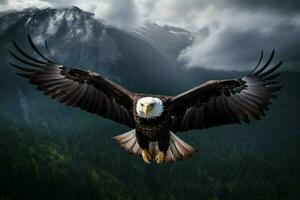das hochfliegend Majestät von ein kahl Adler fliegend Über Summe foto