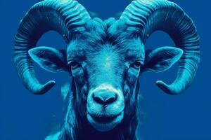 ein Blau Poster mit ein Ziegen Gesicht und das Wort RAM foto