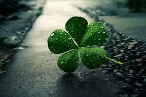 ein Grün Kleeblatt bringt Glück auf st Patricks Tag foto
