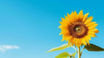 ein beschwingt Sonnenblume gegen ein klar Blau Himmel mit Raum zum Text, Erstellen ein auffällig Kontrast und ein klar Bereich zum Ihre Text überlagern. ai generiert. foto