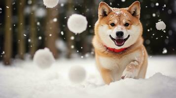 ein froh Hund spielen im das Schnee mit ein weihnachtlich gestaltet Spielzeug, mit Zimmer zum Text, Hintergrund Bild, generativ ai foto