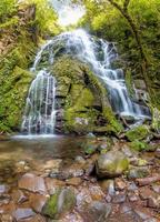 Wasserfall im tropischen Wald foto