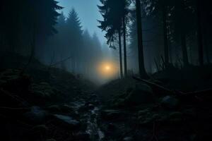 nebelig Wald Landschaft dunkel Silhouette mysteriös foto