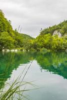 Nationalpark Plitvicer Seen Gras vor türkisfarbenem Wasser Kroatien.