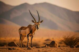 National Tier von Namibia foto