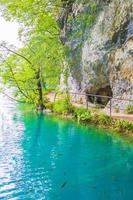 Nationalpark Plitvicer Seen Kroatien Landschaft Fische unter Wasser. foto