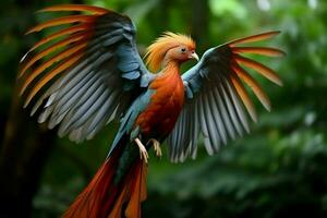 National Vogel von Indonesien foto