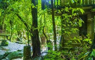 tar nim wasserfall tempel geheimer magischer garten koh samui thailand. foto