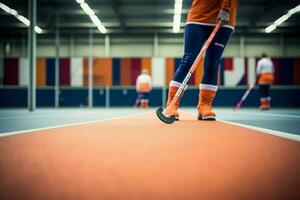 National Sport von Niederlande das foto