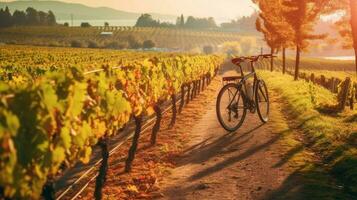 Jahrgang Fahrrad Tour durch malerisch Weinberg foto