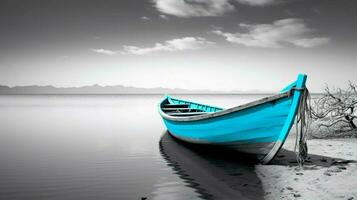 Weiß und schwarz Seelandschaft mit ein farbig Boot Mini foto
