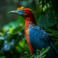 National Vogel von Bangladesch hoch Qualität 4k ultra foto