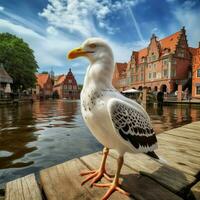 National Vogel von Braunschweig und Lüneburg hoch qua foto