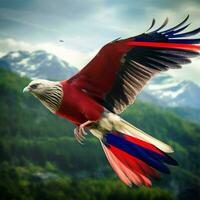 National Vogel von Norwegen hoch Qualität 4k Ultra hd foto