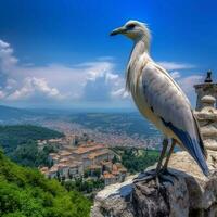 National Vogel von san Marino hoch Qualität 4k ultra foto