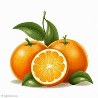 Orangen 2d Vektor Illustration Karikatur im Weiß Hintergrund foto