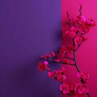 fuchsia minimalistisch Hintergrund hoch Qualität 4k hdr foto