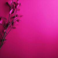 fuchsia minimalistisch Hintergrund hoch Qualität 4k hdr foto