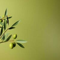 Olive minimalistisch Hintergrund hoch Qualität 4k hdr foto