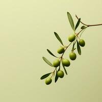 Olive minimalistisch Hintergrund hoch Qualität 4k hdr foto