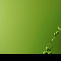 Erbse Grün minimalistisch Hintergrund hoch Qualität 4k hdr foto