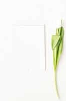 Draufsicht des leeren Kalenders für Mock-up-Design und weiße Tulpe foto