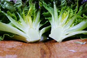 ein schließen oben von ein Bündel von Grüner Salat foto