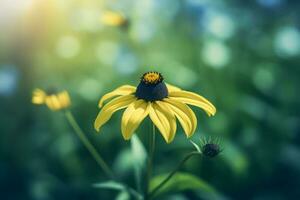 schwarz Augen Susan Blume. generieren ai foto