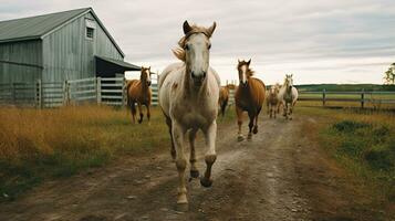 Porträt Pferd im das Bauernhof mit Licht Exposition ai generativ foto