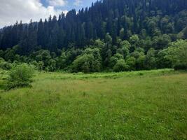 szenisch Aussicht von das natürlich Schönheit von tao Hintern, Neelum Schlucht, Kaschmir. tao Hintern ist berühmt zum es ist üppig Grün Bäume und natürlich Schönheit. foto