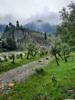 szenisch Aussicht von das natürlich Schönheit von tao Hintern, Neelum Schlucht, Kaschmir. tao Hintern ist berühmt zum es ist üppig Grün Bäume und natürlich Schönheit. foto