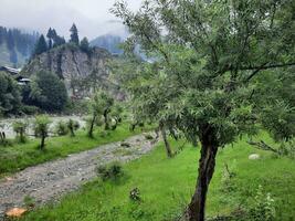 szenisch Aussicht von das natürlich Schönheit von tao Hintern, Neelum Schlucht, Kaschmir. tao Hintern ist berühmt zum es ist üppig Grün Bäume und natürlich Schönheit. foto