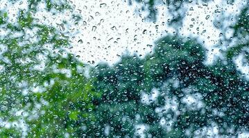 Regen Tröpfchen auf Oberfläche von Auto Glas mit verschwommen Grün Natur Hintergrund und Blumen durch Fenster Glas von das Auto bedeckt durch Regentropfen. Frische nach Regen. nass Windschutzscheibe Schuss von Innerhalb Wagen. foto