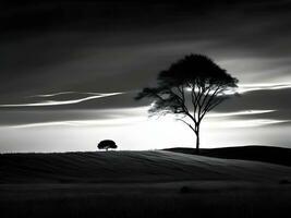 schwarz und Weiß Foto von ein einsam Baum im das Mitte von ein Feld