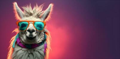 kreativ Tier Konzept. ein Lama tragen Sonnenbrille und ein Schal . Kopieren Raum. generativ ai foto