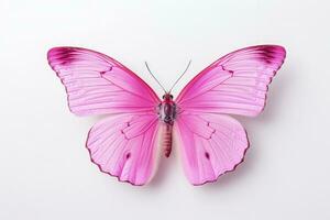 Rosa Schmetterling gegen Weiß Hintergrund prägnant und anmutig fesselnd foto