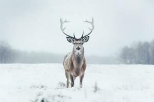 ein Hirsch steht im Vorderseite von ein Schnee bedeckt Feld im ein Winter Wald. generativ ai foto