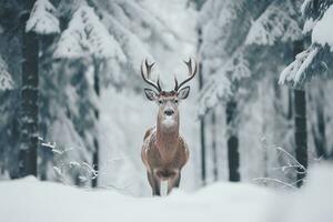 ein Hirsch steht im Vorderseite von ein Schnee bedeckt Feld im ein Winter Wald. generativ ai foto