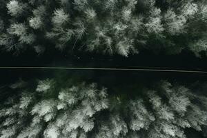 Antenne Aussicht von ein Autobahn Wicklung durch ein Wald im beide Sommer- und Winter Jahreszeiten. generativ ai foto