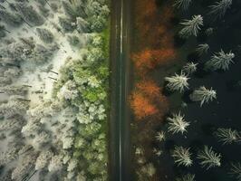 Antenne Aussicht von ein Autobahn Wicklung durch ein Wald im beide Sommer- und Winter Jahreszeiten. generativ ai foto