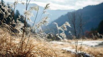 sanft Berg Wald Brise, schneebedeckt Himmel Hintergrund, schwankend Winter Pflanzen, und heiter Geäst im ein still natürlich Szene. generativ ai foto