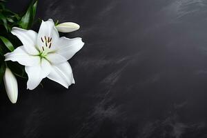 schön Weiß Lilie Blumen auf schwarz Hintergrund mit Kopieren Raum.Beerdigung Konzept ai generiert foto