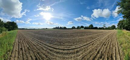 Blick auf ein landwirtschaftlich genutztes Feld mit grünem Gras. foto