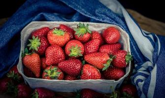 Erdbeerfrüchte in einer Pappschachtel foto