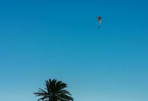 bunt Gleitschirm fliegt Über das Palme Bäume von das Meer Küste mit Blau Himmel foto