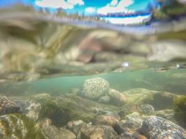 im Riverside Bowl and Pitcher State Park in Spokane Washington washing foto