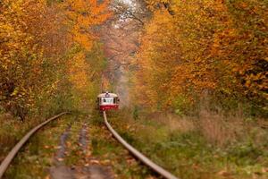 Herbstwald, zwischen dem eine seltsame Straßenbahn fährt foto