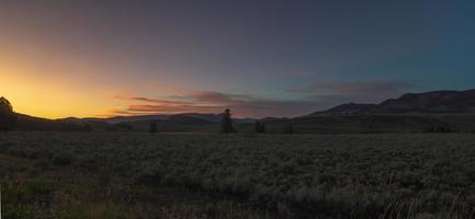 Szenen rund um Hayden Valley in Yellowstone foto