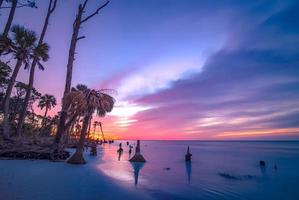 Szenen rund um die Jagdinsel South Carolina im Sommer foto